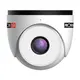 PROVISION-ISR DW-320FR-MVF2 IP Dome kamera, 2MP, Smart-Sight, Arcfelismerés
